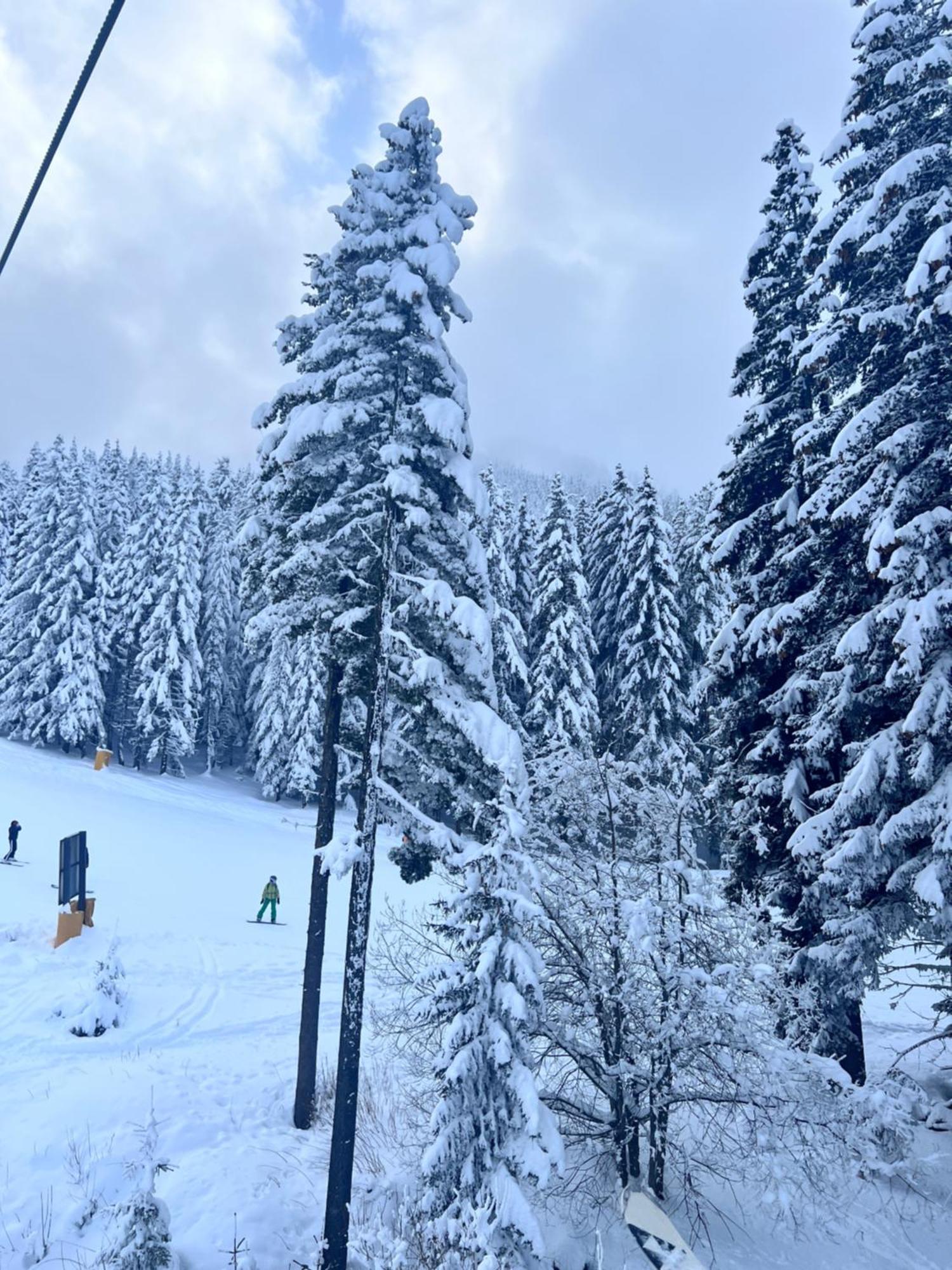 Dimitri Apartament Emerald , Near Gondola Bansko Zewnętrze zdjęcie